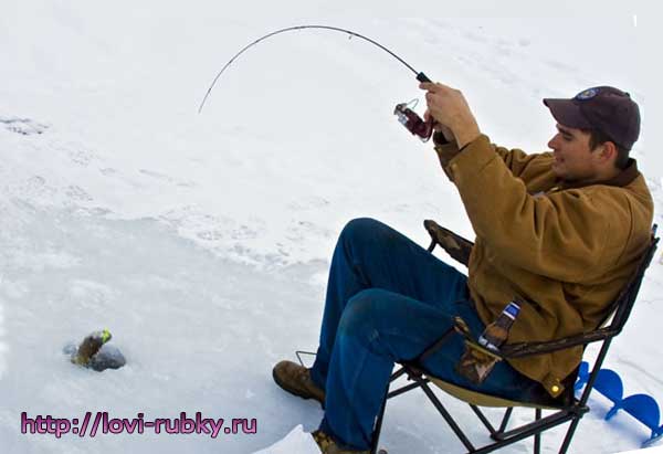 Рыбалка в декабре: Какую рыбу ловить в декабре